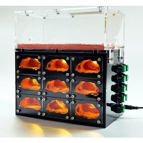 Ecological Ant Farm, Spliceable Ant Nest with usb light Temperature Control Concrete Ant House Anthill Pet Workshop