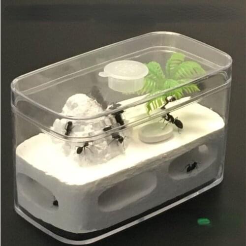 Ant Ecological Box Castle Observation House Small Sand Version Ant Nest Nest Breeding Box Ants Test Tube
