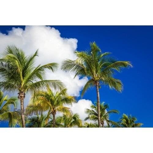 Hot sale manufacturer Dightal printing and UV printed high quality stretch ceiling film