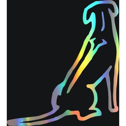 Funny Auto Window Car Bumper Sticker Rhodesian Ridgeback Dog Accessories PVC Car Window Motorcycle Decal for BMW