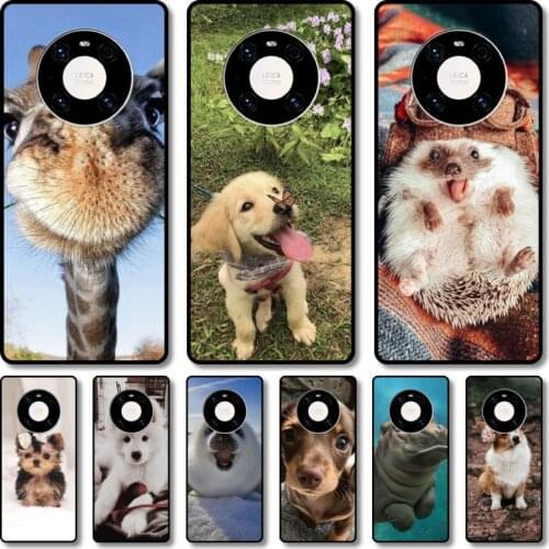 Cute animals Phone Case For Huawei mate 40 30 10 20 40 8 9 Lite Z Pro RS black cell shell