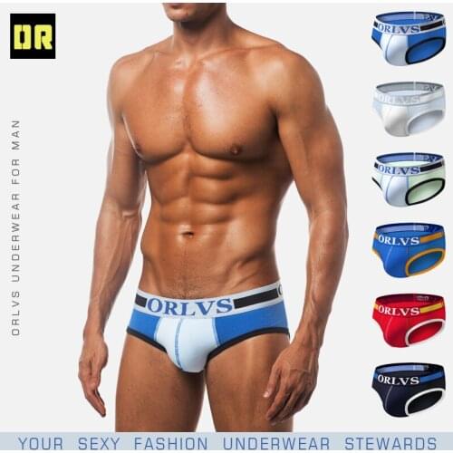 ORLVS Brand Mens Sexy Underwear Briefs Men Cotton Breathable Comfortable Underpants Mesh Lingerie Male Fasion Panties OR69