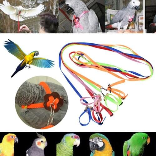 Pet Bird Harness and Leash Adjustable Parrot Bird Harness Leash Pet Anti Bite Training Rope Soft Portable Pet Playthings