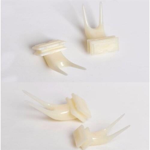 Pet Birds Parrots Fruit Fork Feeder Pet Food Holder Feeding On Cage Pet Parrots Fruit Fork Feeder Supplies