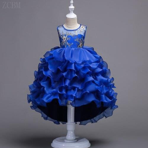 Baby Girls Swallowtails Dress Kids Embroidery Evening Dress Children Princess Dresses For Party And Wedding 100-170cm