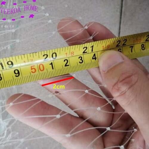 2x2cm hole Grid Farm Garden Transparent Nylon Anti-bird Net Balcony Fruit Tree Safety Protect Pond Crops Plant Cover Mesh