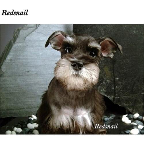 5d full square rhinestone embroidery diamond painting Schnauzer Dogs Pet home decoration mosaic painting by numbers EE199