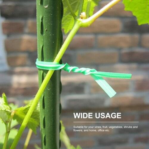100pcs Green Gardening Vine Climbing Plants Cable Tie Lines Plant Brackets Parts Bonsai Flower Cucumber Grape Rattan Supports