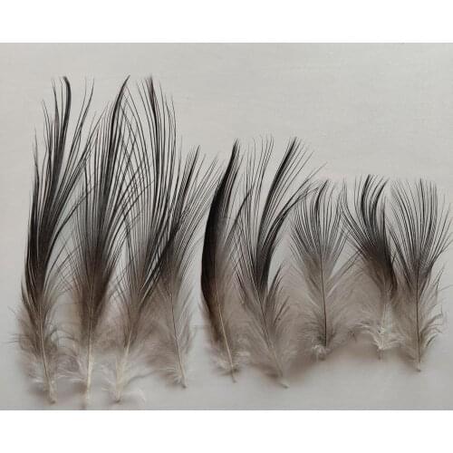 Wholesale Hot 10pcs Natural Black Heron Silk Beautiful Feathers 2-8 inches/5-20 cm Wedding Party Headdress Hats Decoration