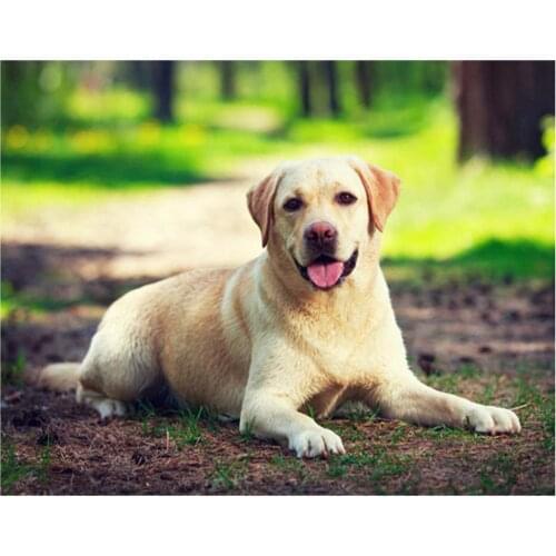 5D DIY Diamond Painting Full Square/Round Labrador Lovely Dog Diamond Embroidery Handmade Home Decoration Mosaic Creative Art