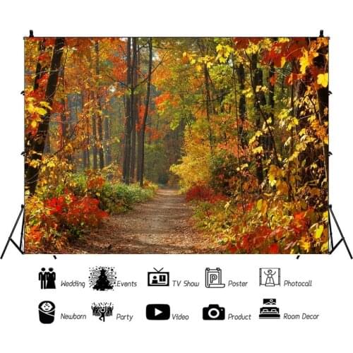 Falling Leaves In The Forest In Late Autumn Backdrop Photo Background Vinyl Portrait Photography Photocall Booth Props