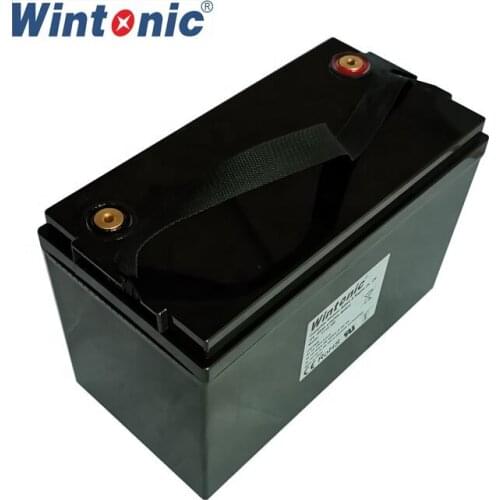 Deep Cycle Lifepo4 Battery 12V 100Ah 120Ah for 1KW Solar System