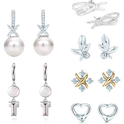 ED 04 TFB TTFF Original 925 Sterling Silver Earrings Fashion Glamour Woman Earrings Jewelry with Original Logo Luxury Jewelry