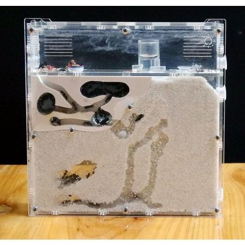 Live Ant Farm Starter Kit Ant Habitat Science Kit STEM Learning Educational Toy Kids Party Favor Science Gift Ant House N est