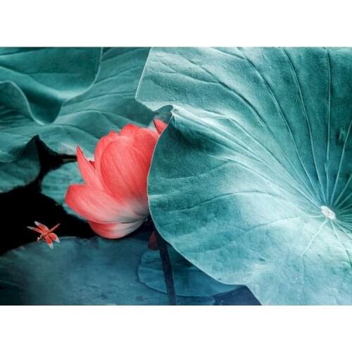 Gatyztory Frame Lotus Dragonfly DIY Painting By Numbers Flower Handpainted Oil Painting Canvas Colouring Home Art