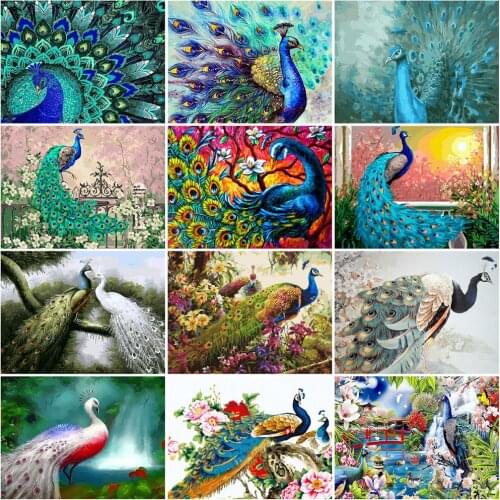 HUACAN Painting By Number Peacock Animals Drawing Canvas Acrylic Coloring By Number Wall Art Handpainted Gift Home Decor