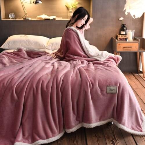 Blanket Duvet Double-Layer Flannel Bed Sheet Bed Coral Fleece Blanket Winter Small Sofa Towel Blanket Thick Warm