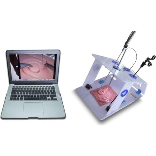 Laparoscopy Training Box Without Camera For Laparoscopy Surgery Practice Training