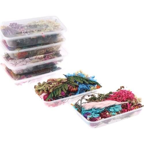 1 Box Real Mix Dried Flowers For Resin Jewellery Dry Plants Pressed Flowers Making Craft DIY Accessories