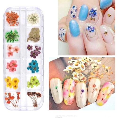 3D Nail Mix Art Dried Flowers 12 Colors Dried Flower Ornaments Stickers DIY Nails Face Makeup Clothes Shoes Bags Decoration