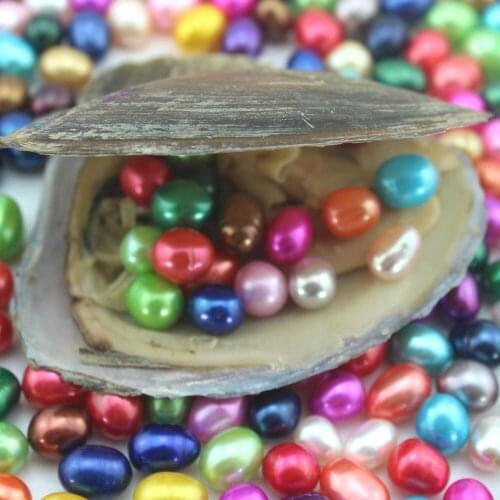 Natural Freshwater Oval Rice Pearls mix 23colors Random One Pearl Beads in One Pearl Oysters Birthday Jewelry Women Gifts EE066