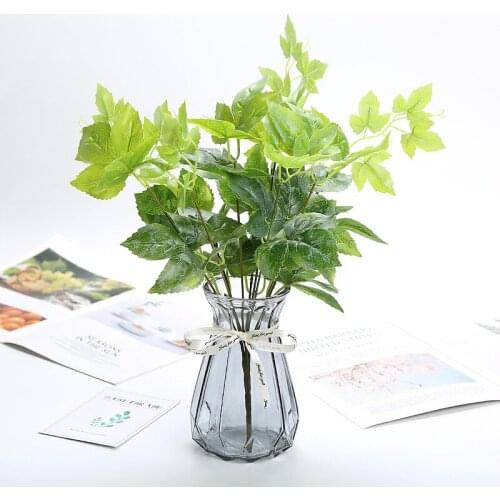 Plastic Boston Ivy Potted Home Natural Plants for Party Decoration