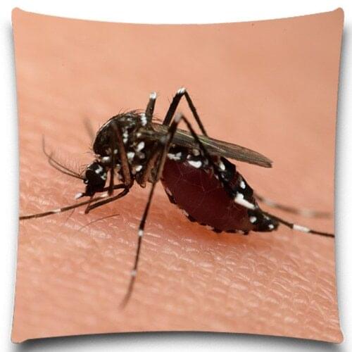Mosquito bite skin 5 size 9 style Square Pillow Case Bedding Room Sofa Chair Home Hotel Decorative Cushion Cover
