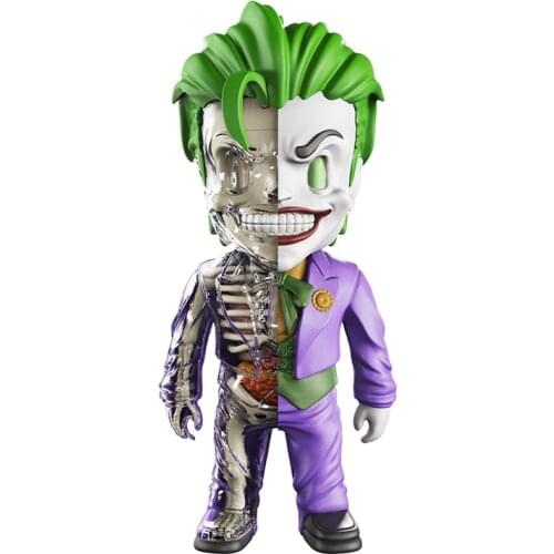 4D XXRAY master model kits DIY self-assembled 93497