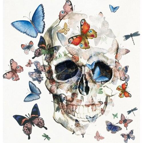 JMINE Div 5D Butterfly Skull Full Diamond Painting cross stitch kits art High Quality Scenic 3D paint by diamonds