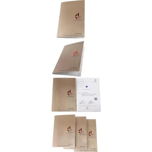 VIP English Certificate