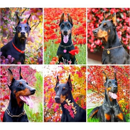 5D Diy Dog Diamond Embroidery Doberman Diamond Painting Flower Rhinestone Mosaic Full Layout Sale Animal Cross Stitch Home Decor