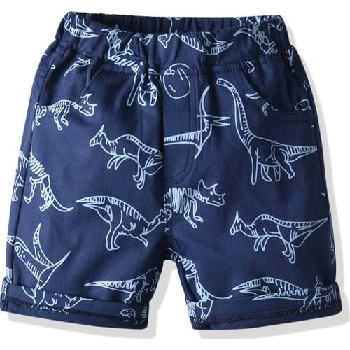 Cartoon Cute Dinosaurs Board Shorts Toddler Little Boys Clothes Summer Elastic Band Bottoms Pockets High Waist Beach Shorts