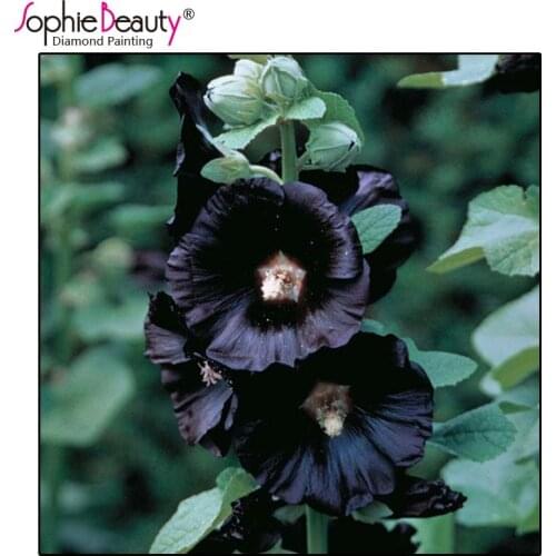 Sophie Beauty Full Diy Diamond Painting Cross Stitch Mysterious Black Gloom Flower Mosaic Handmade Embroidery Home Decro Kits