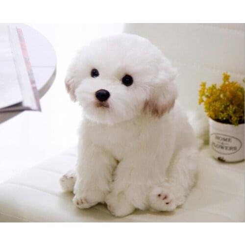 Simulation Maltese Dog plush toy about 35x21x26cm squatting Maltes soft doll kids toy Christmas gift w2904