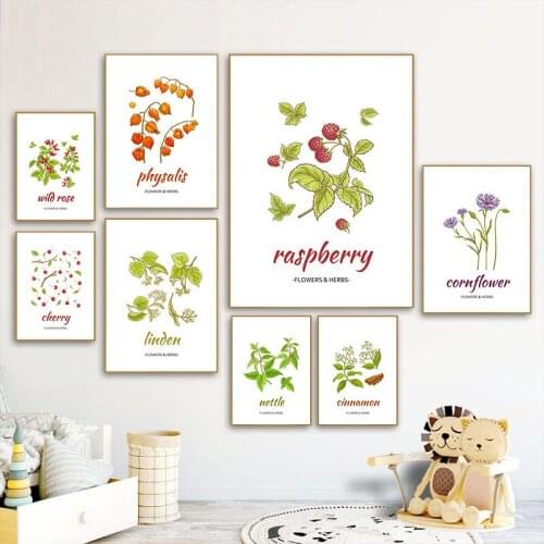 Botanical Herb Art Canvas Painting Print And Poster nordic Flowers Herbs Wall Pictures Kitchen Room Decor Home Decoration