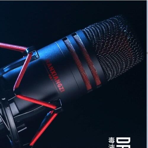 Studio record live large diaphragm shock mount Pro microphone with aluminum collect case for singing