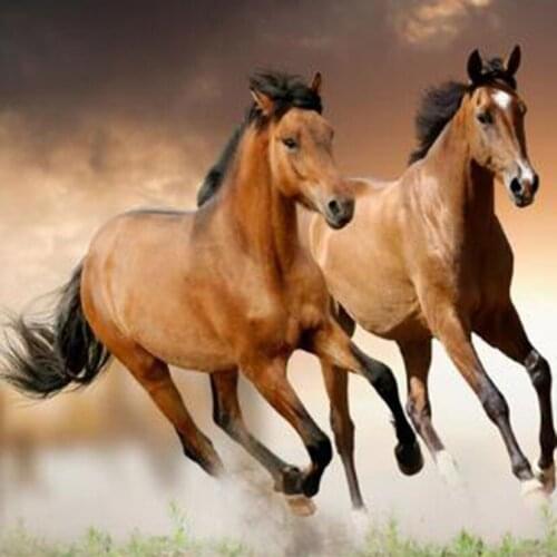 5D DIY Diamond Painting Animal Painting Square/Round Diamond Double Horse Picture Cross Stitch Embroidery Decoration Art TX096