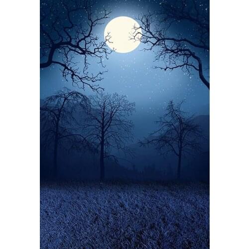 Vinyl 3D Photography Halloween Backdrops For Foto Horror Night Tree Full Moon Photophone Photography Backdrop for Photo Studio