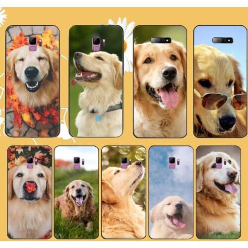 Funny Golden retriever dog Phone Case shel lFor Samsung galaxy S 9 10 20 A 10 21 30 31 40 50 51 71 s note 20 j 4 2018 plus