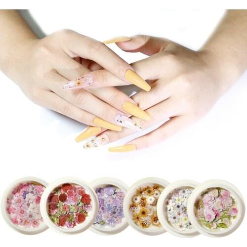 50 pieces/box Dried Flowers Nail Art Decorations Colorful Natural Dry Flower wood pulp Stickers UV Gel Manicure Decals