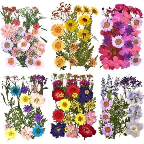 Dried Flowers Plants DIY Resin Mold Fills Epoxy UV Handmade Craft Nail Art Decoration For Jewelry Making