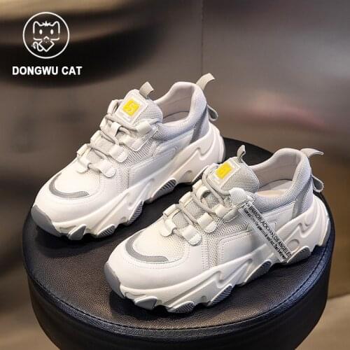 Women Sneakers Breathable Running Shoes Outdoor Sport Fashion Comfortable Casual Gym Women Shoes Zapatos De Mujer