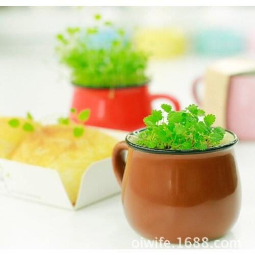 Creative Desktop pot belly cup vanilla ECOEY selling new Mini Desktop potted green plants