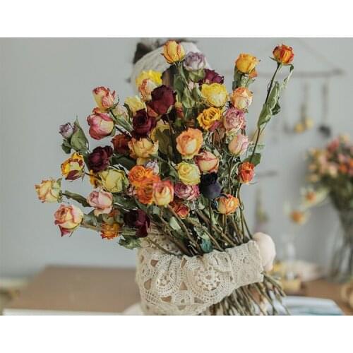 Nordic Home Soft Accessories Natural Plant Dried Flowers Dried Fruits Dried Flowers Color Natural Rose Dried Flowers 3 Pieces