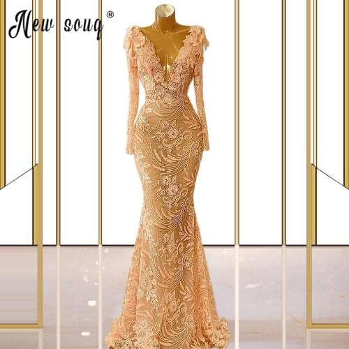 Light Pink Illusion Evening Dress Sexy V Neck 3D Flowers Long Prom Gowns Long Sleeve Birthday Party Wear Pageant Longue Robes