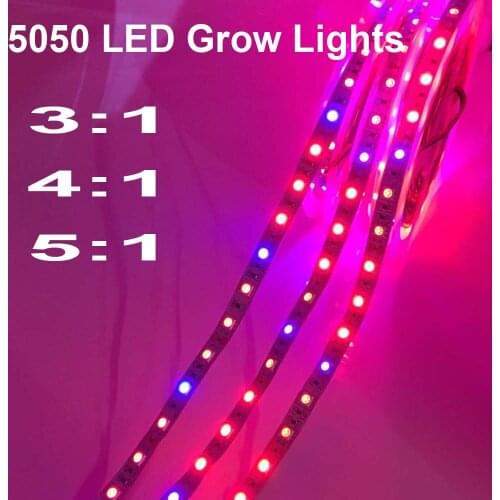 5 M LED Phyto Lamps Full Spectrum LED Strip Light 300 LEDs 5050 Chip LED Fitolampy Grow Lights For Greenhouse Hydroponic plant