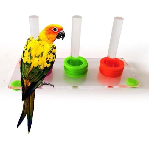 Bright Color Parrot Bird Ring Separate Training Intelligence Development Pet Toy