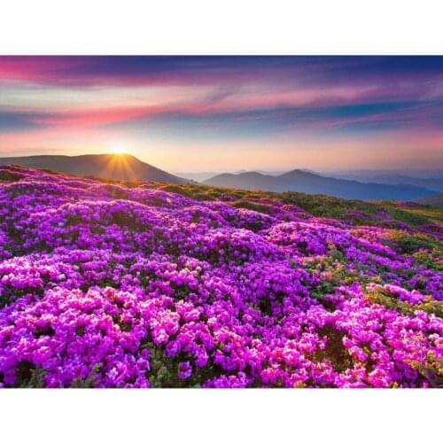 5D DIY Diamond Painting Scenery Cross stitch Full Square Round Drill Diamond Embroidery Sunset Mountain flowers Landscape Sale