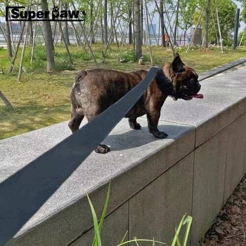 Fashion Pet Dog Collar Leash Set for Dogs Pets Puppy Seat Belt Safety Belt for Small Medium Large Dogs Leading Accessories AQL02