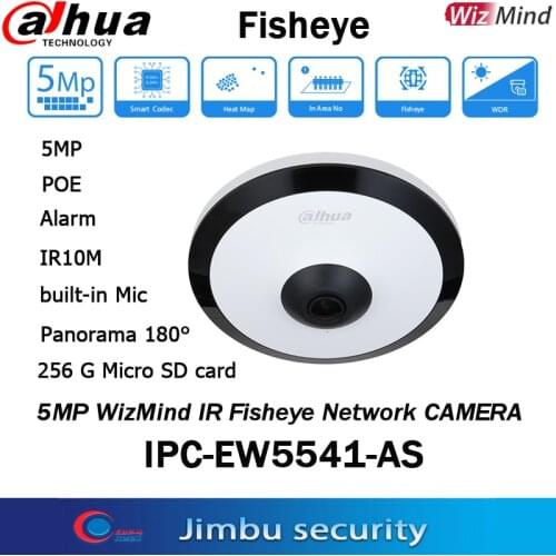 Dahua 5MP WizMind IR Fishey IPC-EW5541-AS PoE IR 10M H.265 IVS Built-in Mic Micro SD card Audio in/out Alarm in/out Heat map
